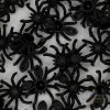 Spinne mit verlängertem Unterleib