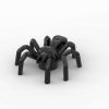 Spinne mit verlängertem Unterleib